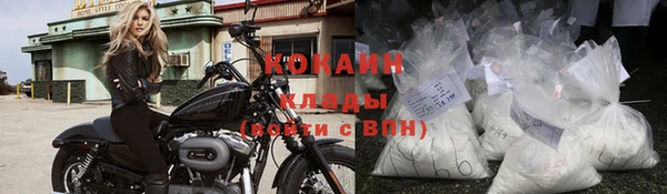 ПСИЛОЦИБИНОВЫЕ ГРИБЫ Михайловск