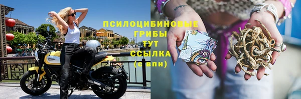 ПСИЛОЦИБИНОВЫЕ ГРИБЫ Михайловск