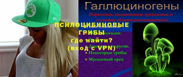spice Мегион
