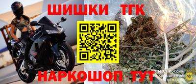 бошки Гусев