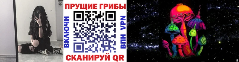 Галлюциногенные грибы мицелий  Корсаков 