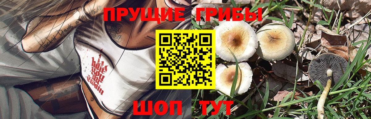 Корсаков  Псилоцибиновые грибы ЛСД  Вход с VPN 