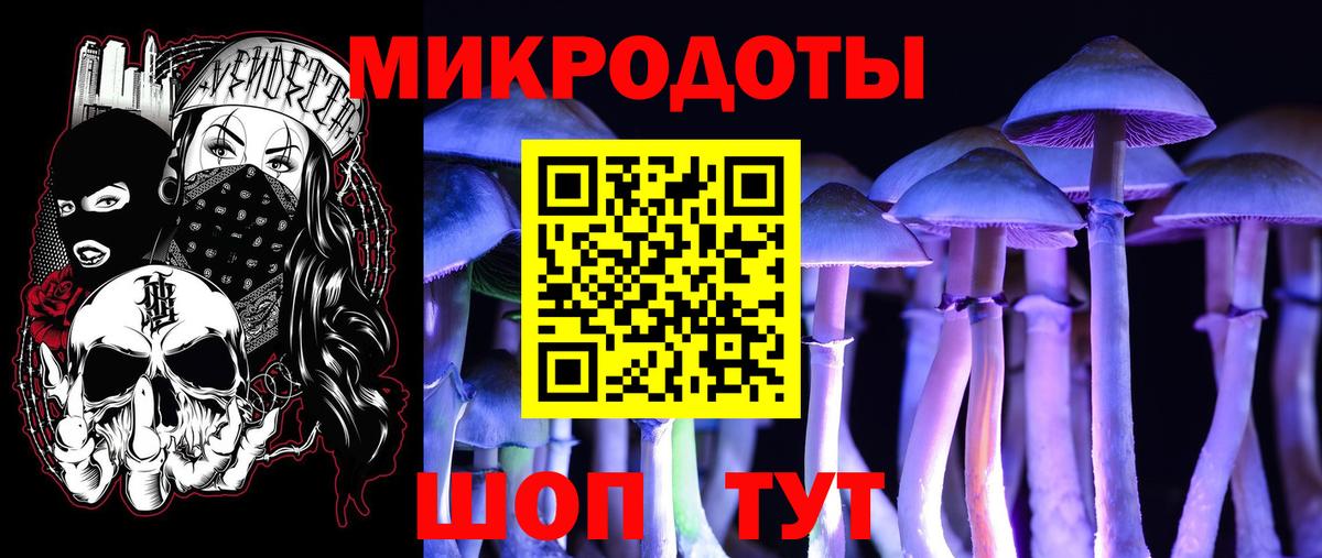Галлюциногенные грибы мухоморы Корсаков